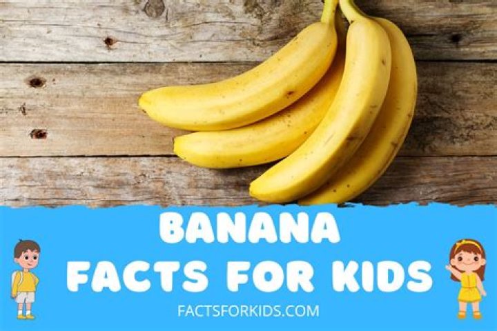 25 Banana Facts For Kids That Your Friends Don&rsquo;t Know Facts For Kids