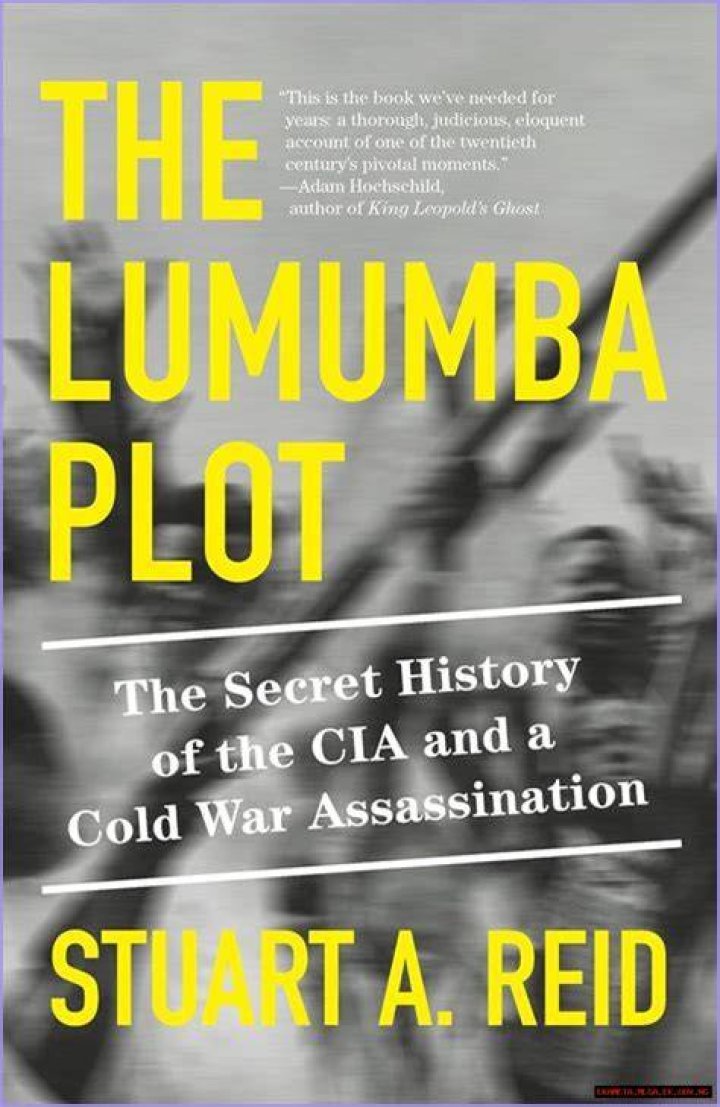 All About Nelson Lumumba Lee: A Comprehensive Guide