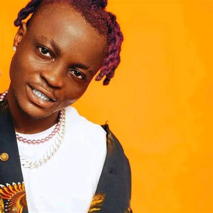 Balloranking Net Worth 2024: A Peek Into The Future Wealth