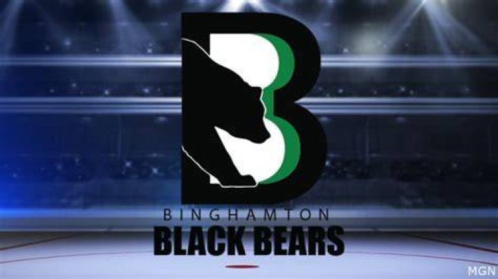 Binghamton: Your Gateway To Skipping The Game