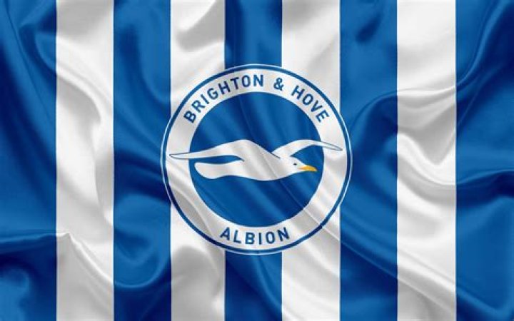 Brighton & Hove Albion on Twitter "See you tomorrow, Albion fans! 😁🔜"