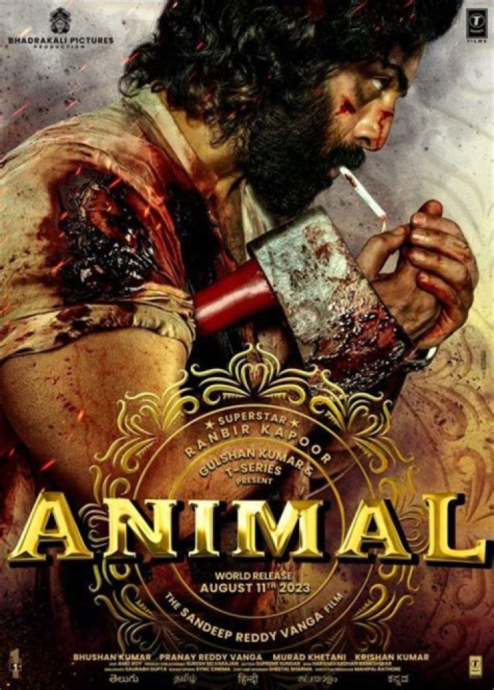 Comprehensive Guide To Bolly4u Movies: Unlocking The World Of Hindi Cinema
