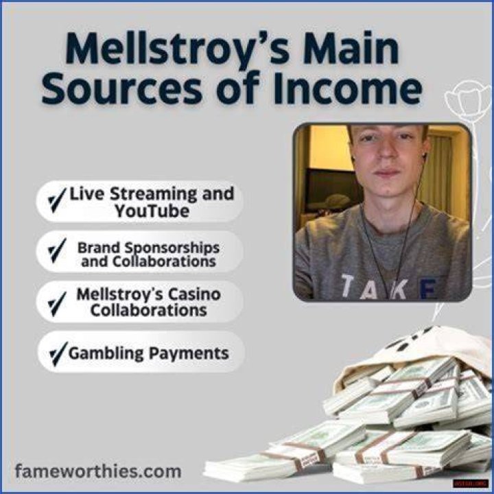 Comprehensive Guide To Mellstroy Networks