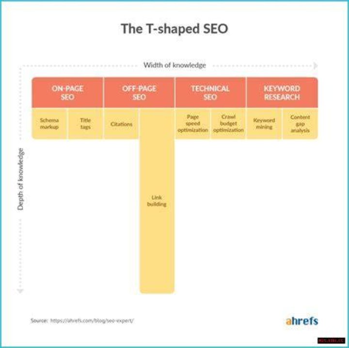 Courtney Samal: An SEO Expert On The Rise