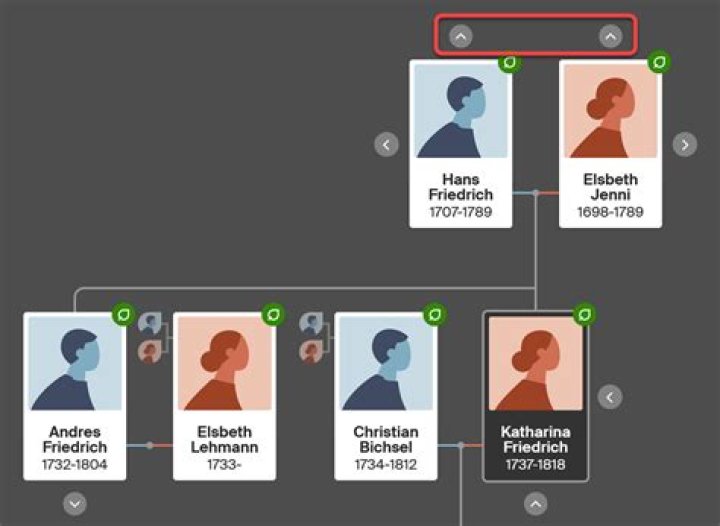 Discover Noah Galle's Ancestry: Exploring His Family History