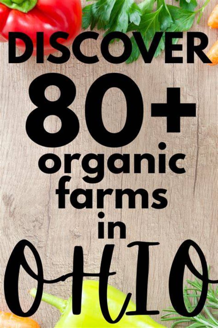 Discover Organic Goodness At Bennettsen Organic Farms