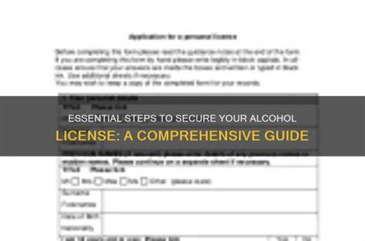 Discover The Essential Location For Your License Number: A Comprehensive Guide