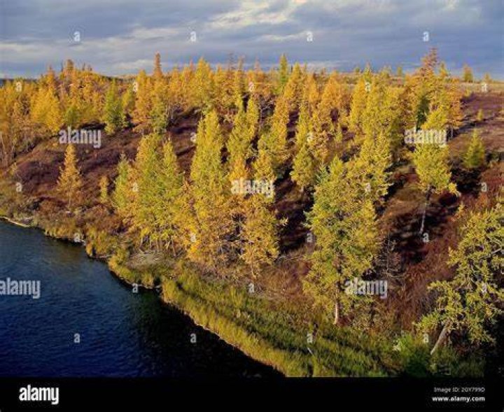 Discover The Towering Heights Of The Yamal Peninsula