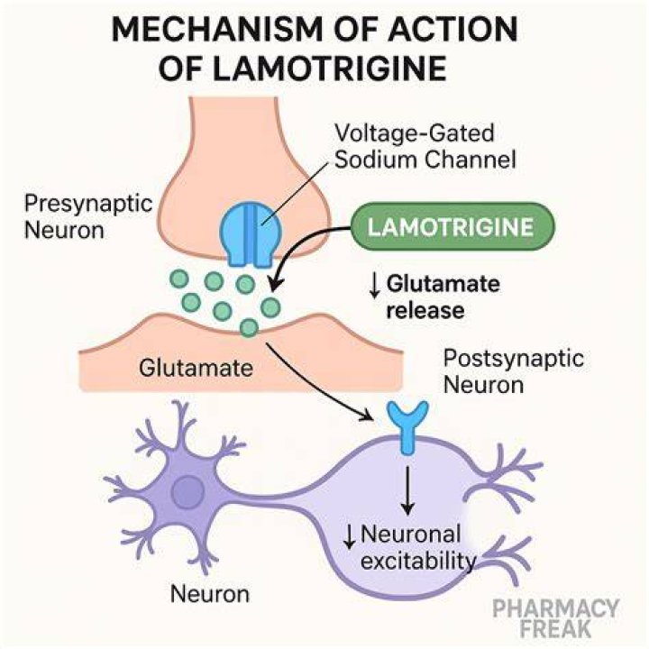 Does Lamotrigine Cause Tardive Dyskinesia? Find Out The Truth