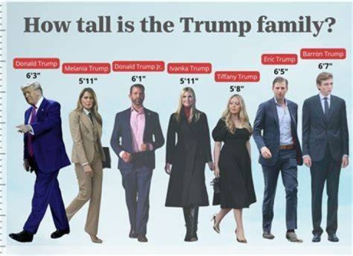 Donald Sutherland Height: How Tall Was He In Feet?
