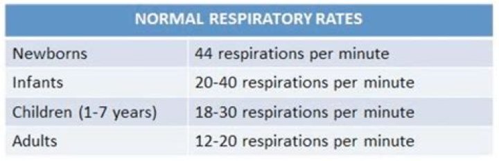 Essential Guide: Normal Breathing Rates For Newborns