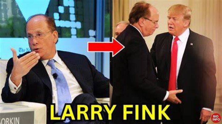 Find Out About Larry Fink's Grandson And His Legacy