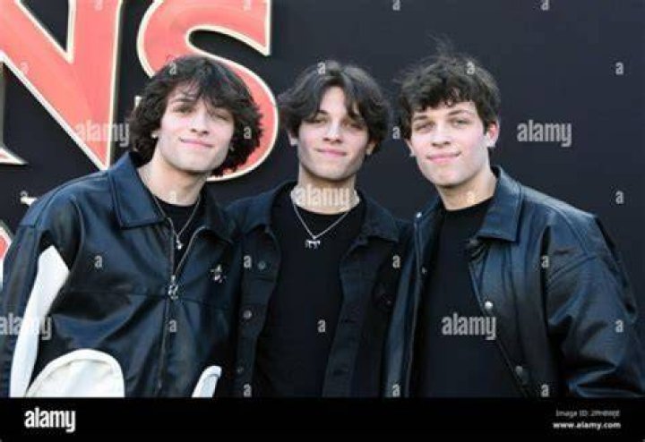 Find The Exact Address: Sturniolo Triplets Los Angeles Home Location
