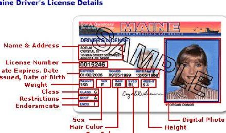 Find Your Driver's License Number: A Complete Guide