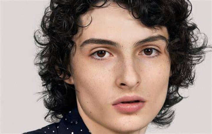Finn Wolfhard Wiki, Bio, Age, Net Worth, and Other Facts Facts Five