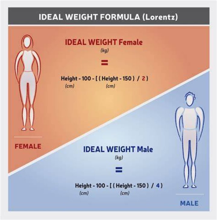 How To Calculate Ideal Body Weight Percentage Haiper
