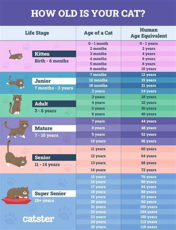 How To Tell Age Of Maytag Appliance How Old is My Maytag Appliances