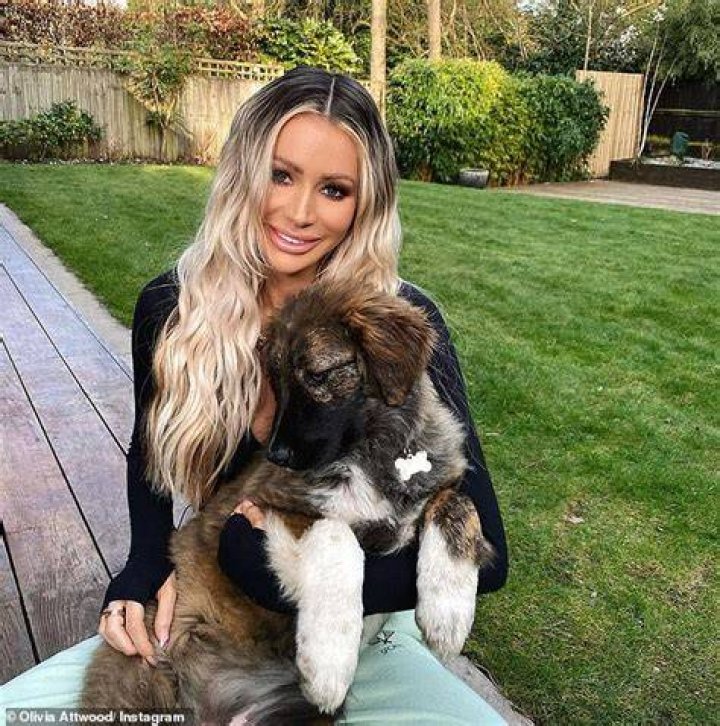 Inside The Circle Of Love: Meet The Olivia Attwood Family