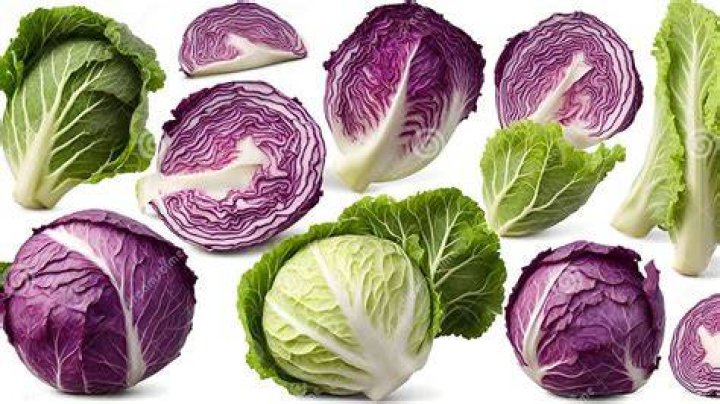 Is Purple Cabbage Nutritionally Superior To Green Cabbage?