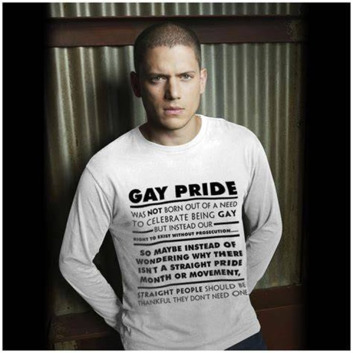 Is Wentworth Miller Gay or Does He Have A Wife, Who Are His Parents?