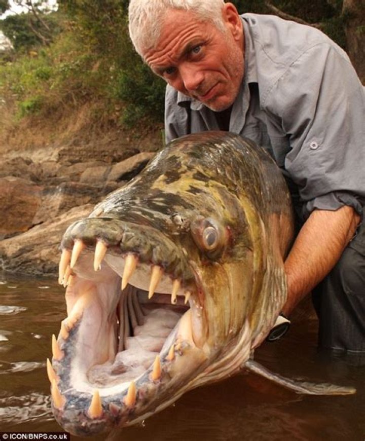 Jeremy Wade The Fisherman & Adventurer's Fortune Digital Global Times