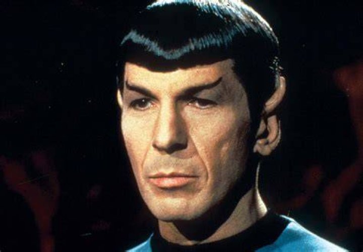 Leonard Nimoy's Son Adam Marries Star Trek's Terry Farrell