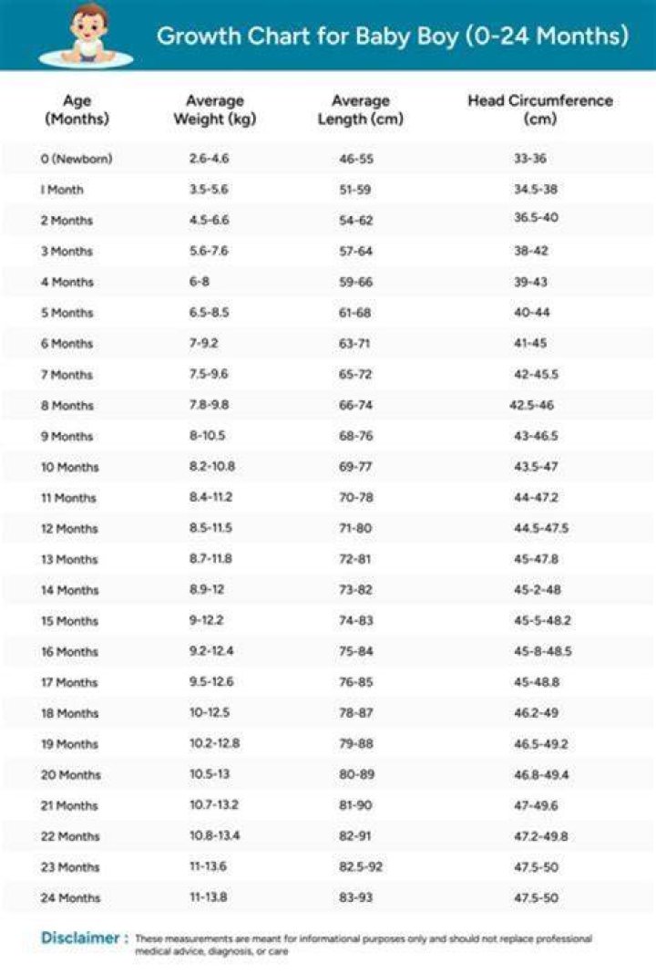 Liz Johnston Baby's Average Size: Important Metrics And Expectations