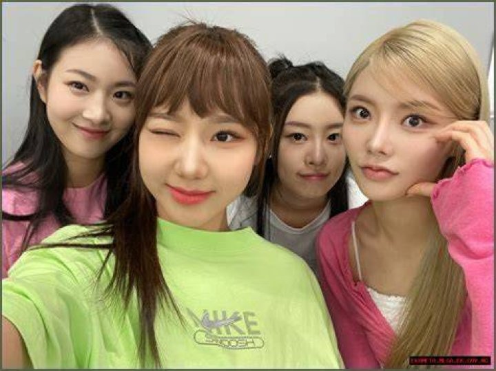 Momoland Members: The Complete Guide To The K-Pop Girl Group