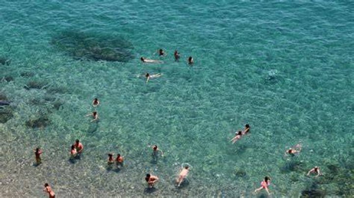 Nudist Nude Beach Sex Telegraph