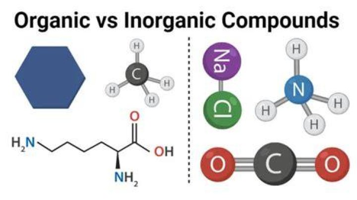 Organic vs. Molecules Expii