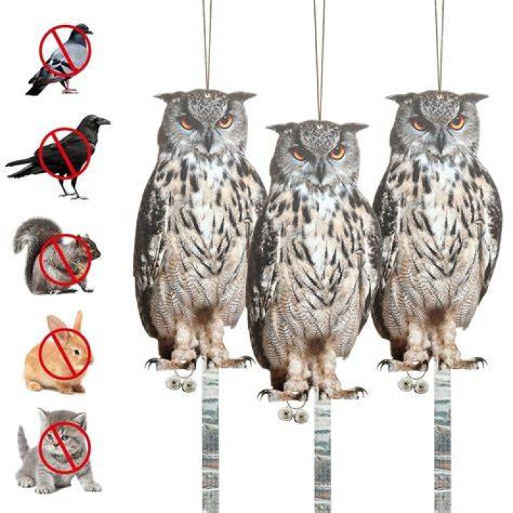 Owl Away: Effective Methods To Deter Birds Of The Night