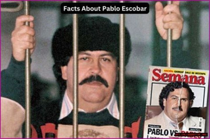 Pablo Escobar's Staggering Weekly Income: The Truth Revealed