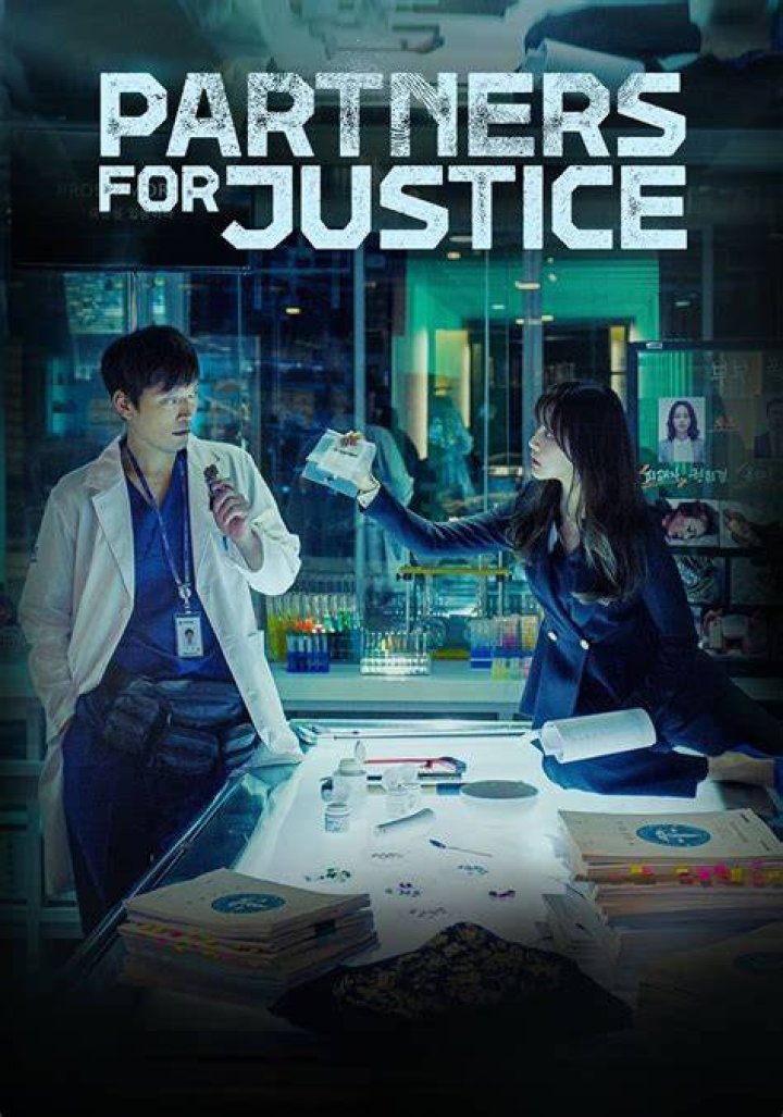 Partners for Justice streaming tv show online