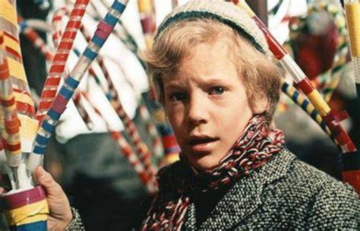 Peter Ostrum: The Willy Wonka Star Who Became A Vet