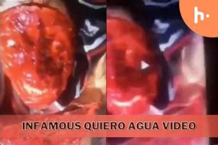 Quiero Agua Payaso Video Gore Original The: Unveiling The Shocking Truth