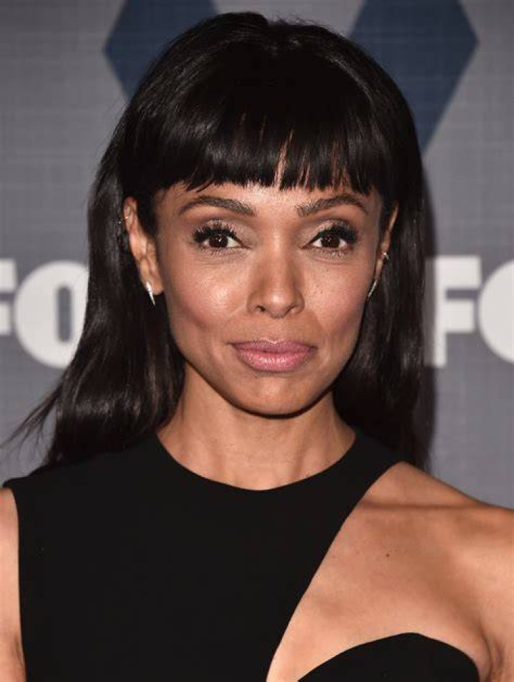 Tamara Taylor Biography, Height & Life Story Super Stars Bio