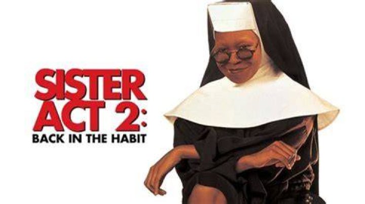 The Appealing Cast Of Back In The Habit 2