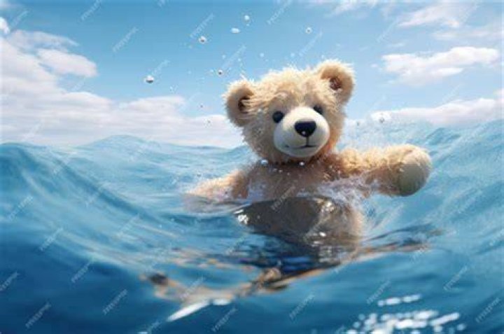 The Captivating Adventure Of Teddy The Swimming Bear