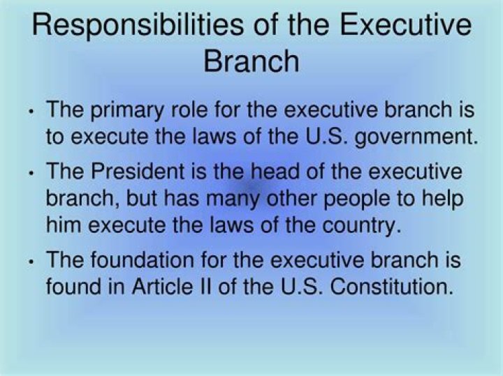 The Executive Branch In Government: Its Main Role And Responsibilities