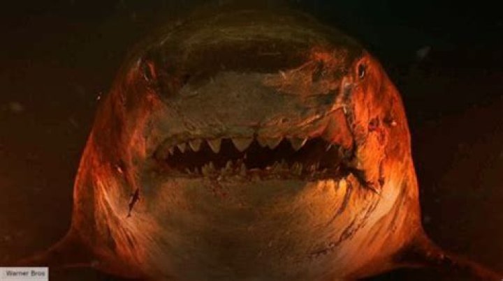 The Fate Of The Mother In "The Meg": A Tragedy Uncovered
