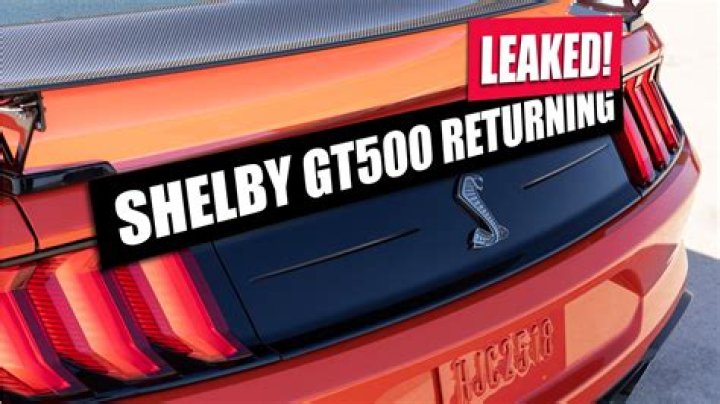 The Latest Scoop: Shelby Bilby Leaked Video Surfaces