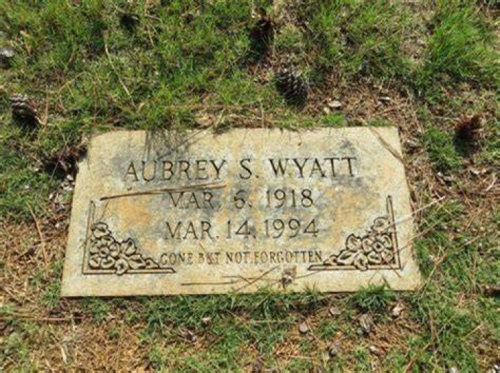 The Mysterious Demise Of Aubry Wyatt: How Did He Perish?