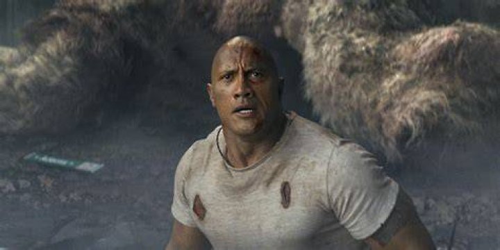 the rock's brother