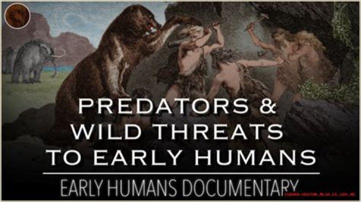 The Terrifying Truth: Predators That Target Humans