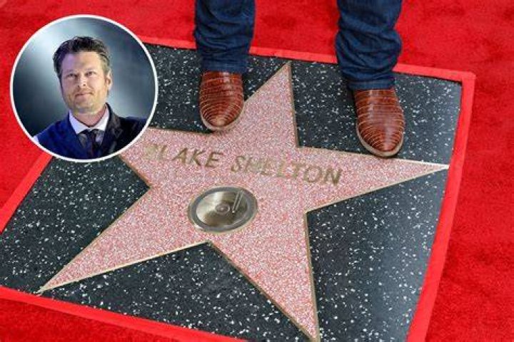 The Truth About Blake Shelton's Non-Existent Twin Brother