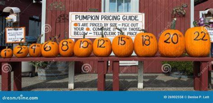 The Ultimate Guide: Pumpkin Pricing Unraveled