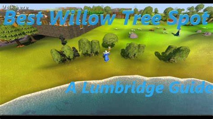The Ultimate Guide To OSRS Willow Branches: Your Essential Crafting Tool