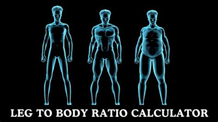 The Ultimate Guide To Understanding Normal Leg-to-Body Ratios