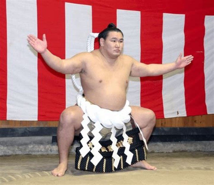 The Ultimate Guide To Understanding The Meaning Of Yokozuna