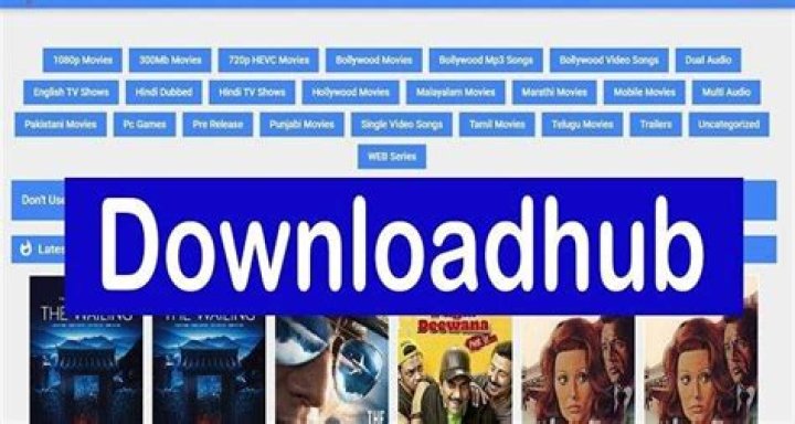 The Ultimate Source For Downloadhub 300mb Files